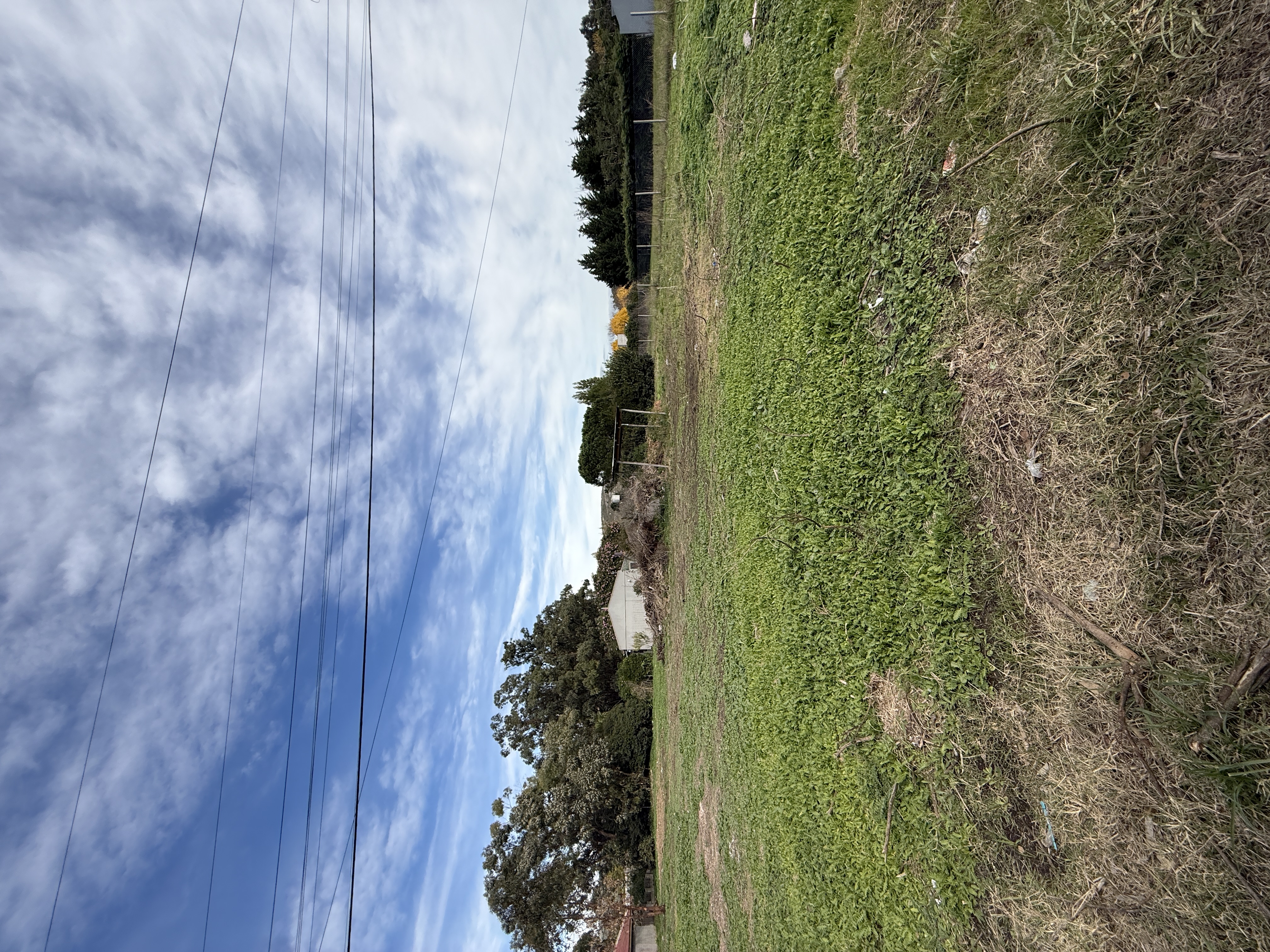 Lote Barrio El Paraíso