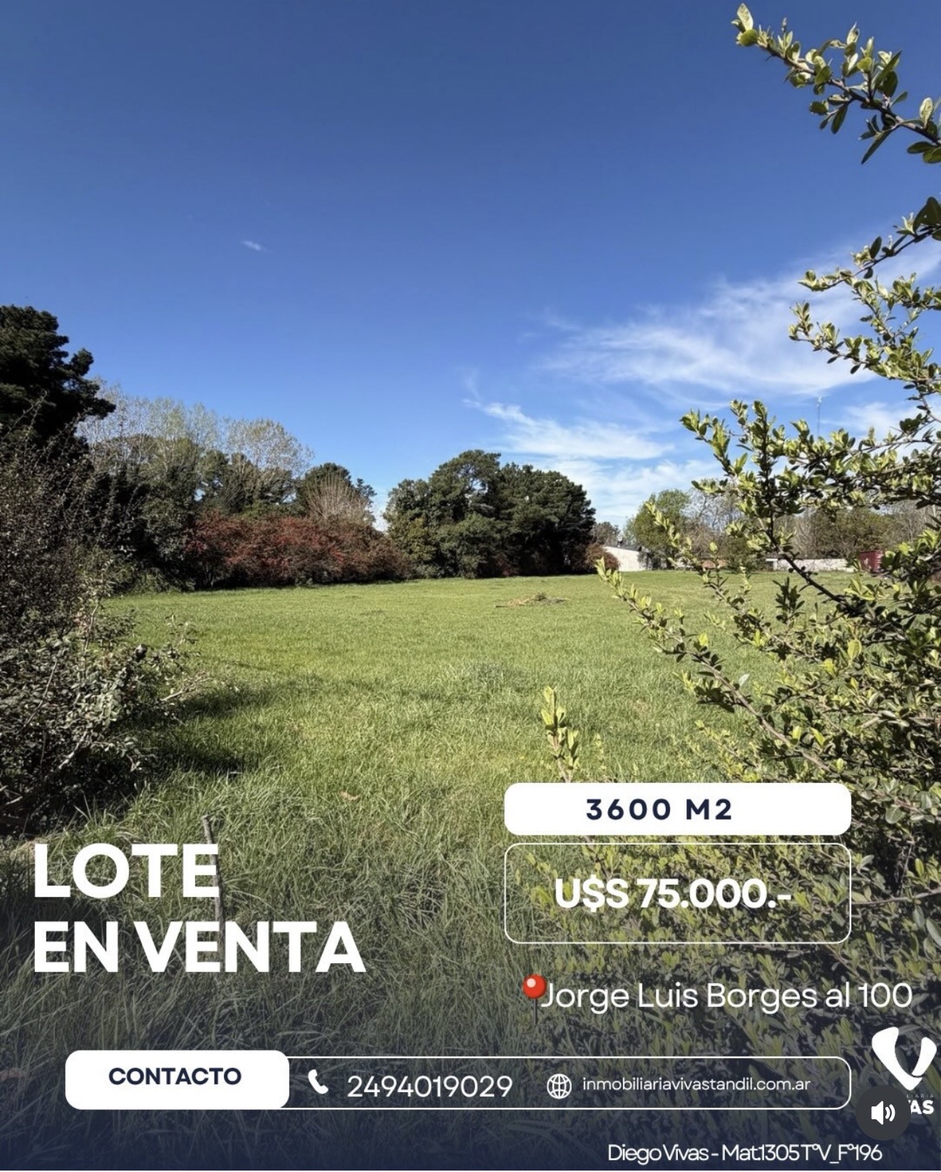 LOTE BORGES